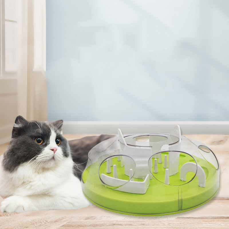Cat IQ Puzzle Toy Treats Slow Feeder