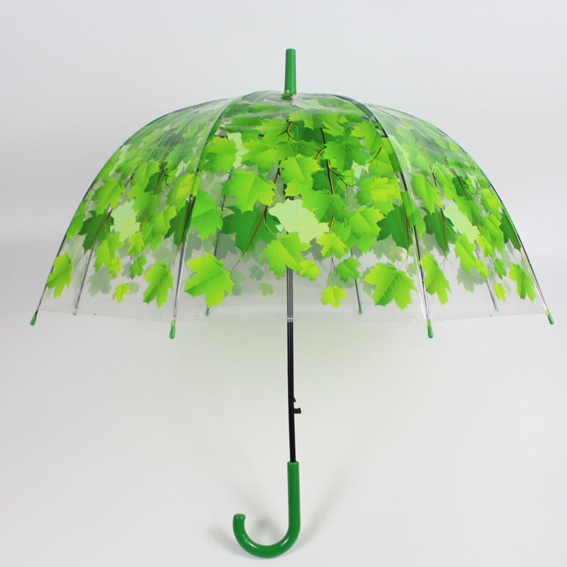 Long Handle Transparent Umbrella Painted Umbrella Maple Leaf Umbrella