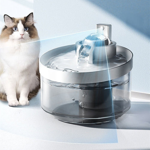 Pet