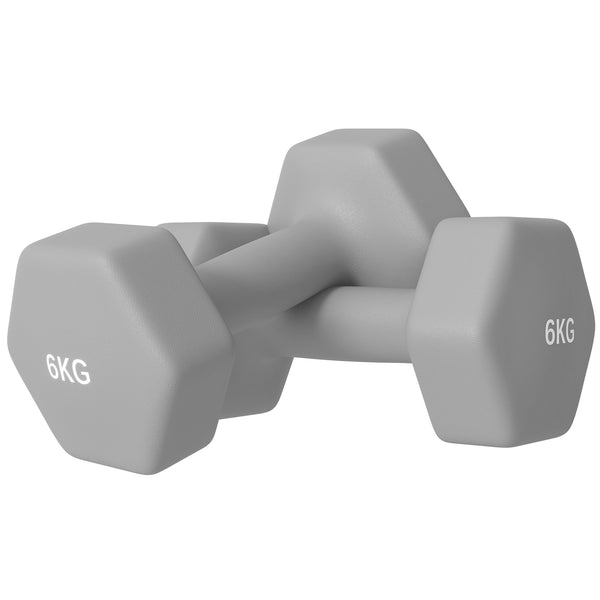 2 X 6 Kg Kurzhantel-Set, Sechseckiges Design, Bodenfreundlich, Rutschfest, Grau